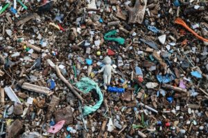 Master the Art of Composting