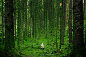 Spend Time In Nature
