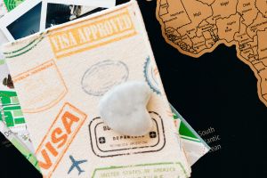 Migration Processes