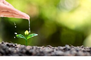 Step-by-Step Guide to Setting Up a Profitable Outsourcing Business